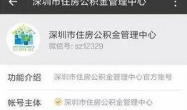 深圳靓仔最新爆料,揭秘娱乐圈幕后真相