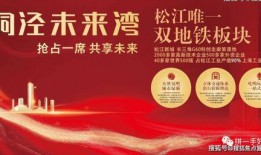 爆料新闻上海,最新爆料揭示惊人内幕